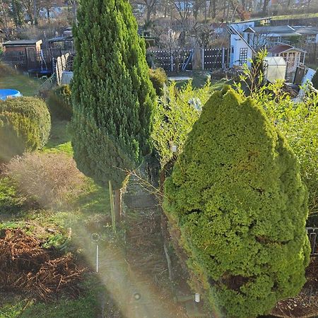 Haus Mit Garten ハレ エクステリア 写真